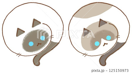 丸まったシャム猫とラグドール 125150973
