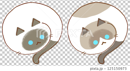 丸まったシャム猫とラグドール 125150973