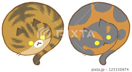 丸まったサビ猫とムギワラ猫 丸まったサビ猫とムギワラ猫 125150974