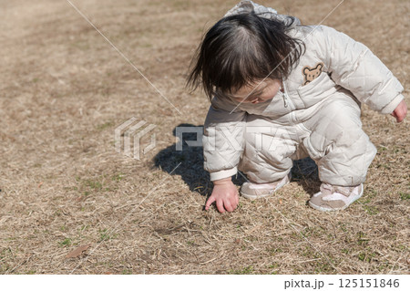 【相模原市立麻溝公園の芝生広場で遊ぶ1歳児 しゃがむ】 【相模原市立麻溝公園の芝生広場で遊ぶ1歳児 しゃがむ】 125151846