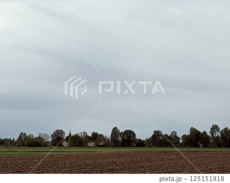 Rural landscape with green meadow and trees under cloudy sky. 125151918