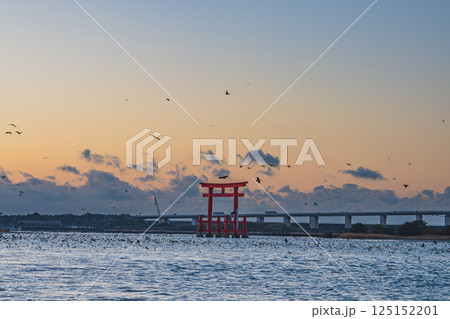 浜松市にある日の出前の弁天島の赤い鳥居の風景(静岡県) 浜松市にある日の出前の弁天島の赤い鳥居の風景(静岡県) 125152201