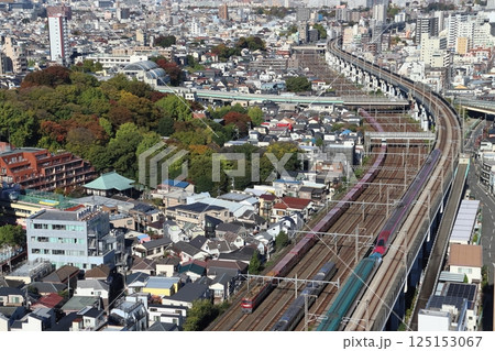 王子付近を行く東北新幹線と貨物列車の並び 125153067