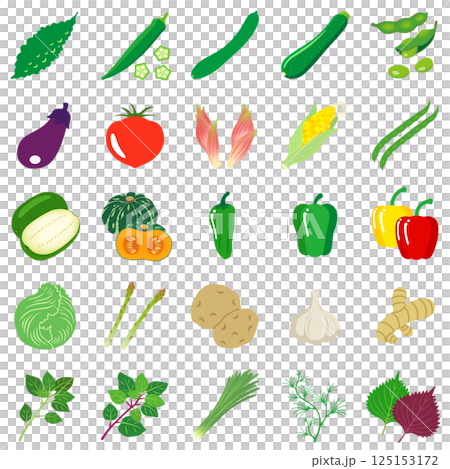 夏野菜のアイコンセット 夏野菜のアイコンセット 125153172