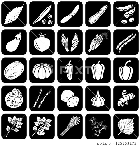 夏野菜のアイコンセット 125153173