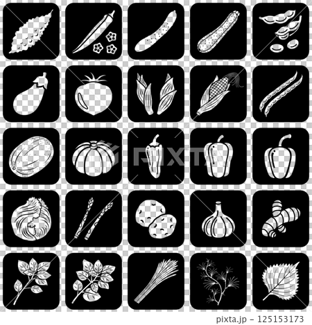 夏野菜のアイコンセット 125153173