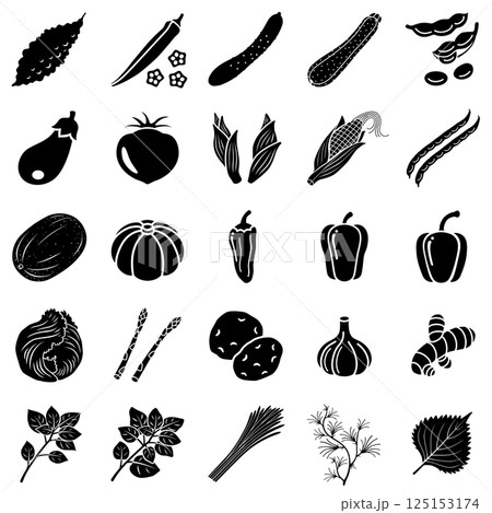 夏野菜のアイコンセット 夏野菜のアイコンセット 125153174