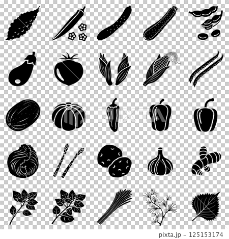 夏野菜のアイコンセット 夏野菜のアイコンセット 125153174