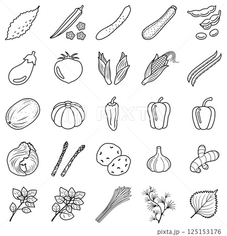 夏野菜のアイコンセット 125153176