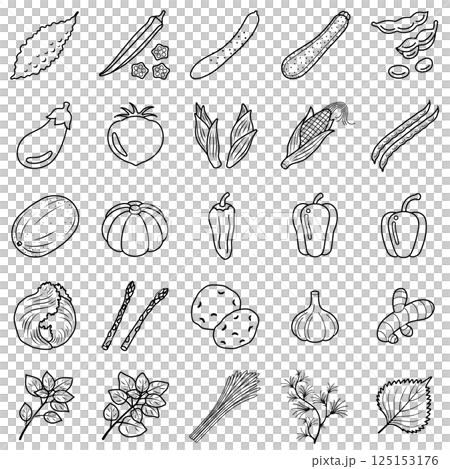 夏野菜のアイコンセット 125153176