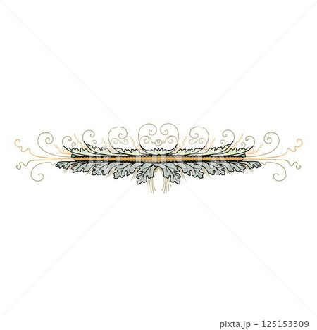 Vintage floral calligraphic floral vignette scroll corners ornamental design elements set isolated illustration Vintage floral calligraphic floral vignette scroll corners ornamental design elements set isolated illustration 125153309