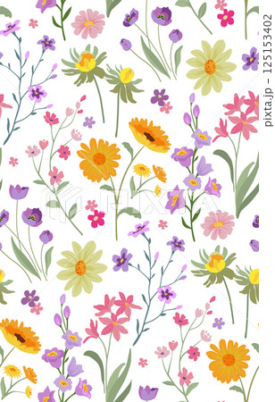 Vector seamless pattern with blooming meadow. Bright endless background with colorful wildflowers forget-me-nots, chamomile, daisies. 125153402