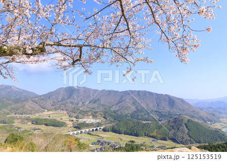 桜満開に咲く竹田城跡 125153519