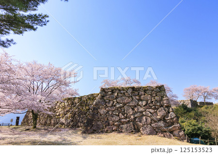 桜満開に咲く竹田城跡 桜満開に咲く竹田城跡 125153523