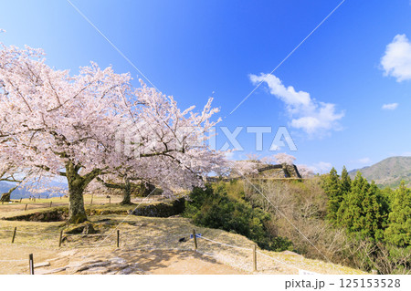 桜満開に咲く竹田城跡 125153528