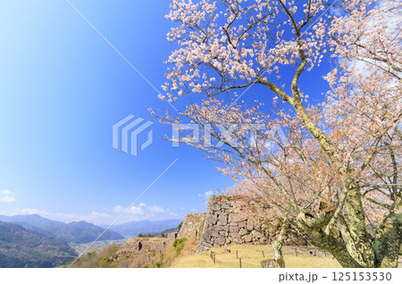 桜満開に咲く竹田城跡 125153530