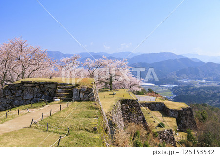 桜満開に咲く竹田城跡 125153532
