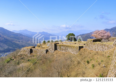 桜満開に咲く竹田城跡 125153533