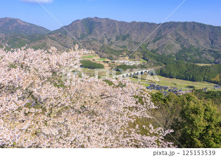 桜満開に咲く竹田城跡 125153539