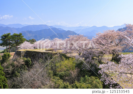桜満開に咲く竹田城跡 桜満開に咲く竹田城跡 125153545