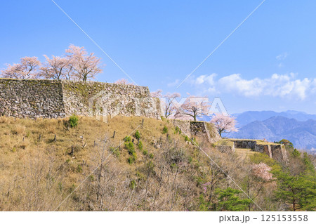 桜満開に咲く竹田城跡 桜満開に咲く竹田城跡 125153558