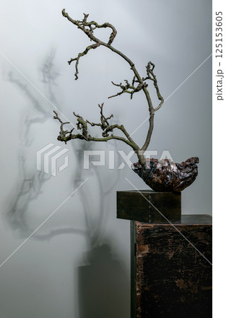 Twisted Bonsai Art On Wooden Pedestal 125153605