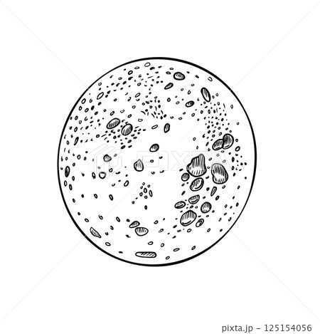Black white outline vector illustration of a full moon hand drawn in a minimalist style. Luna monochrome drawing for printing, backgrounds. Space moon graphic sketch painted for storybook. Black white outline vector illustration of a full moon hand drawn in a minimalist style. Luna monochrome drawing for printing, backgrounds. Space moon graphic sketch painted for storybook. 125154056