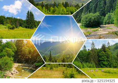 Picturesque mountain landscape with mountain ranges, coniferous forests and sunrise. 125154325