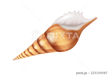Realistic Illustration of Spiraled Sea Shell Realistic Illustration of Spiraled Sea Shell 125154397