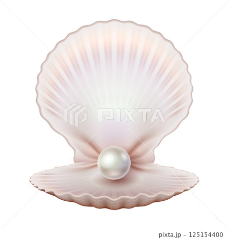 Beautiful Shell with Pearl Illustration 125154400