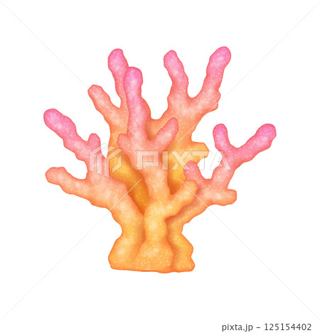 Vibrant Pink and Orange Coral Illustration 125154402