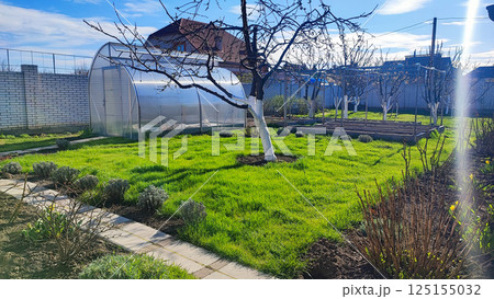 The planted tomatoes are in the greenhouses. There are three beds on the right, left and center. There's empty land in the front. Copy space. The planted tomatoes are in the greenhouses. There are three beds on the right, left and center. There's empty land in the front. Copy space. 125155032