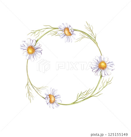 Watercolor round frame of several daisies. White wildflowers. Botanical illustration. Each element is hand-drawn. Summer wedding design, invitations, postcards. 125155149