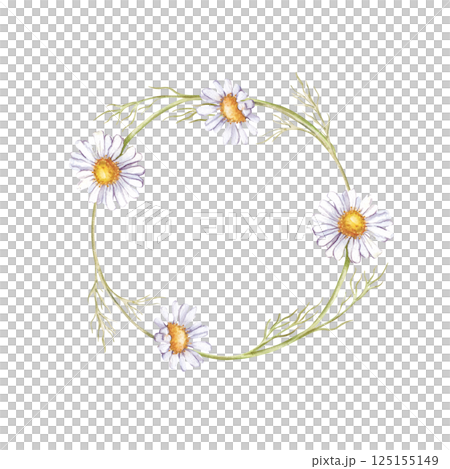 Watercolor round frame of several daisies. White wildflowers. Botanical illustration. Each element is hand-drawn. Summer wedding design, invitations, postcards. 125155149
