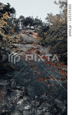 A group of massive boulders forms a natural obstacle in the middle of the forest. A group of massive boulders forms a natural obstacle in the middle of the forest. 125155302