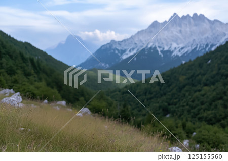 Mountain landscape with alpine meadow and a mountain range in the background at sunset. Mountain landscape with alpine meadow and a mountain range in the background at sunset. 125155560