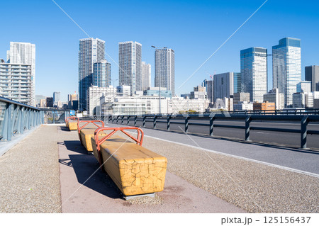 【豊洲大橋】早朝の橋上風景と都市風景 125156437