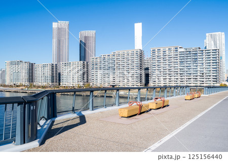【豊洲大橋】早朝の橋上風景と都市風景 【豊洲大橋】早朝の橋上風景と都市風景 125156440