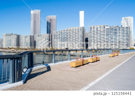 【豊洲大橋】早朝の橋上風景と都市風景 125156441