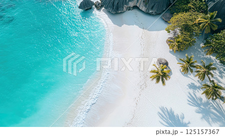 Stunning aerial view of tropical beach with palm trees and turquoise water. 125157367