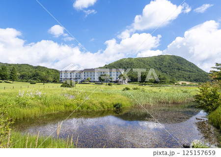 初夏・新緑・エコイメージ(大山鏡ヶ成) 初夏・新緑・エコイメージ(大山鏡ヶ成) 125157659