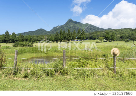 初夏・新緑・エコイメージ（大山鏡ヶ成） 125157660