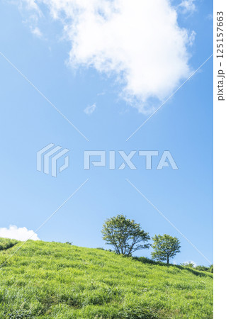 初夏・新緑・エコイメージ(大山鏡ヶ成) 初夏・新緑・エコイメージ(大山鏡ヶ成) 125157663