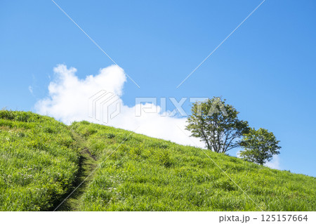 初夏・新緑・エコイメージ(大山鏡ヶ成) 初夏・新緑・エコイメージ(大山鏡ヶ成) 125157664