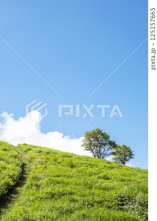 初夏・新緑・エコイメージ(大山鏡ヶ成) 初夏・新緑・エコイメージ(大山鏡ヶ成) 125157665