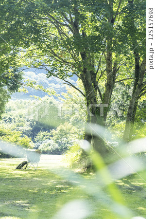 初夏・新緑・エコイメージ（大山鏡ヶ成） 125157698