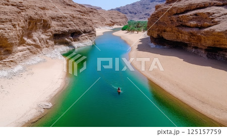 Breathtaking aerial view of lush oasis amidst rugged desert canyons. Breathtaking aerial view of lush oasis amidst rugged desert canyons. 125157759