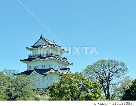 春の小田原城 125158088