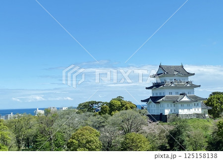 相模湾を見下ろす小田原城 相模湾を見下ろす小田原城 125158138