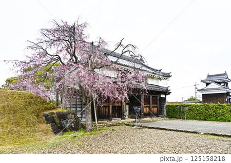 西尾市歴史公園　鍮石門（ちゅうじゃくもん） 125158218